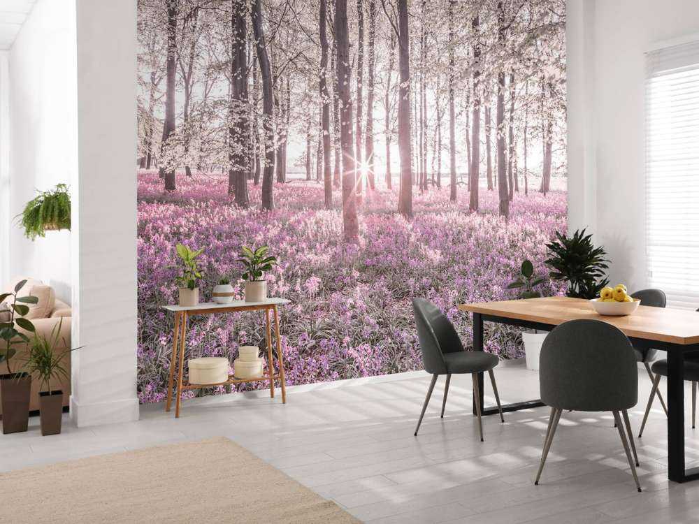 Forêt au printemps