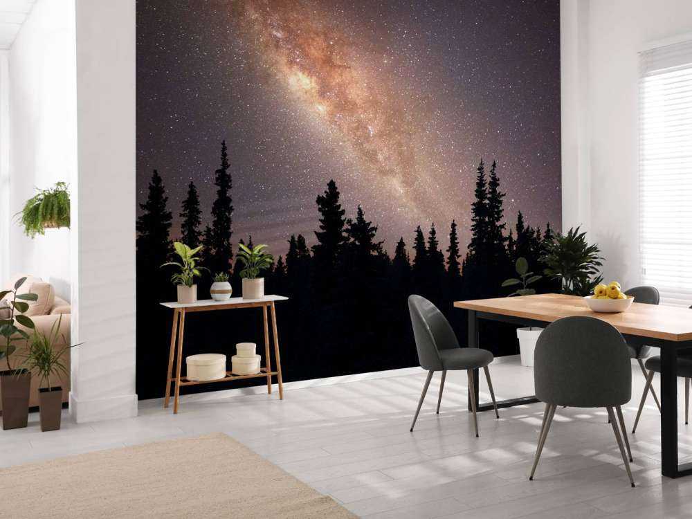 Voie lactée au-dessus d'une silhouette d'arbres