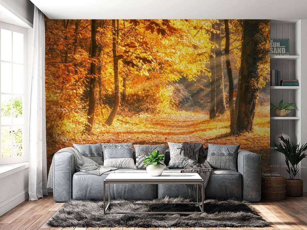 Panorama en automne
