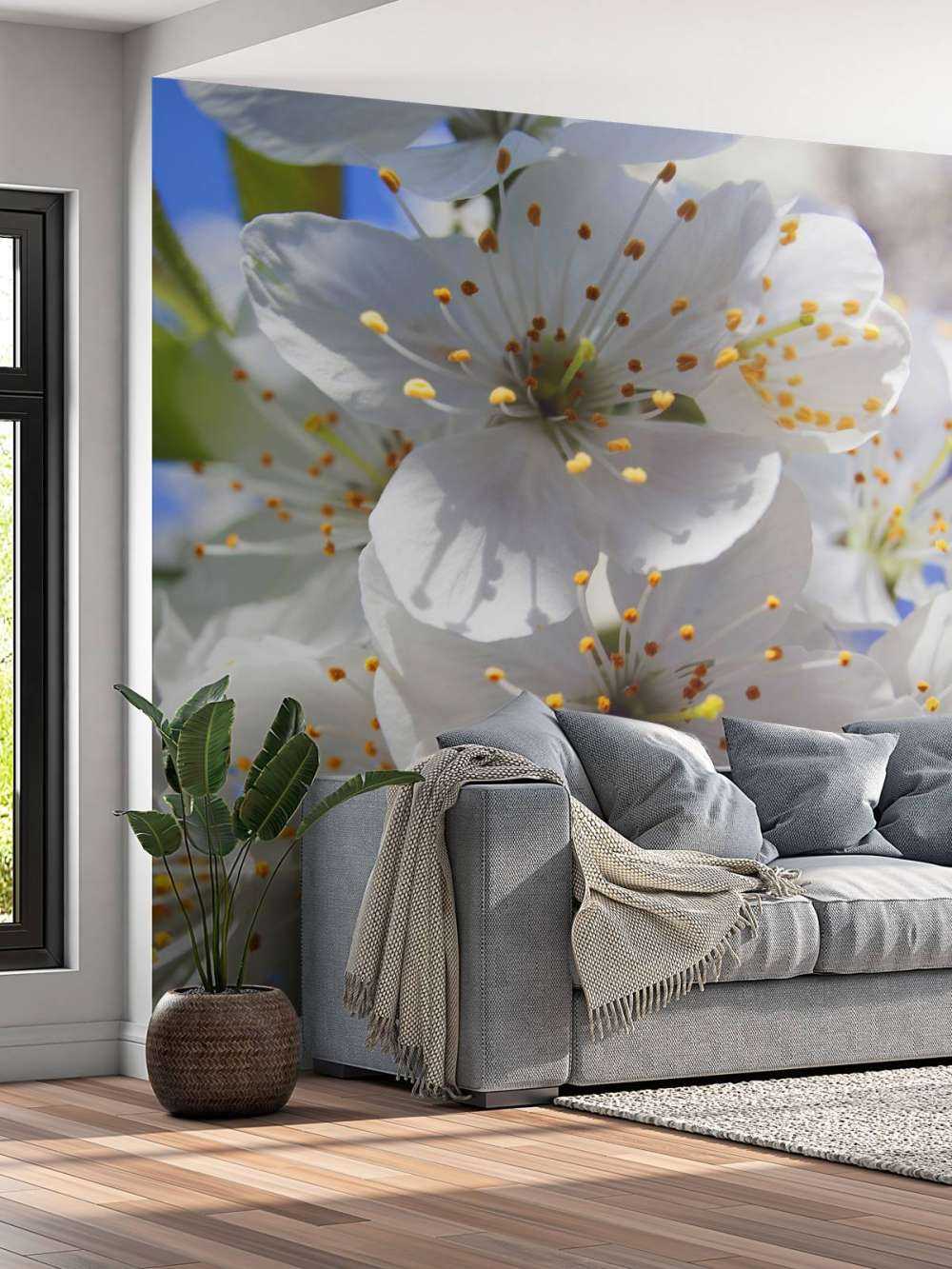 Gros plan sur des fleurs blanches