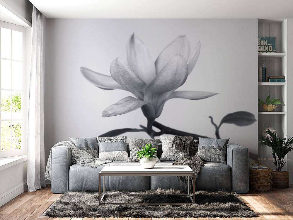 Magnolia