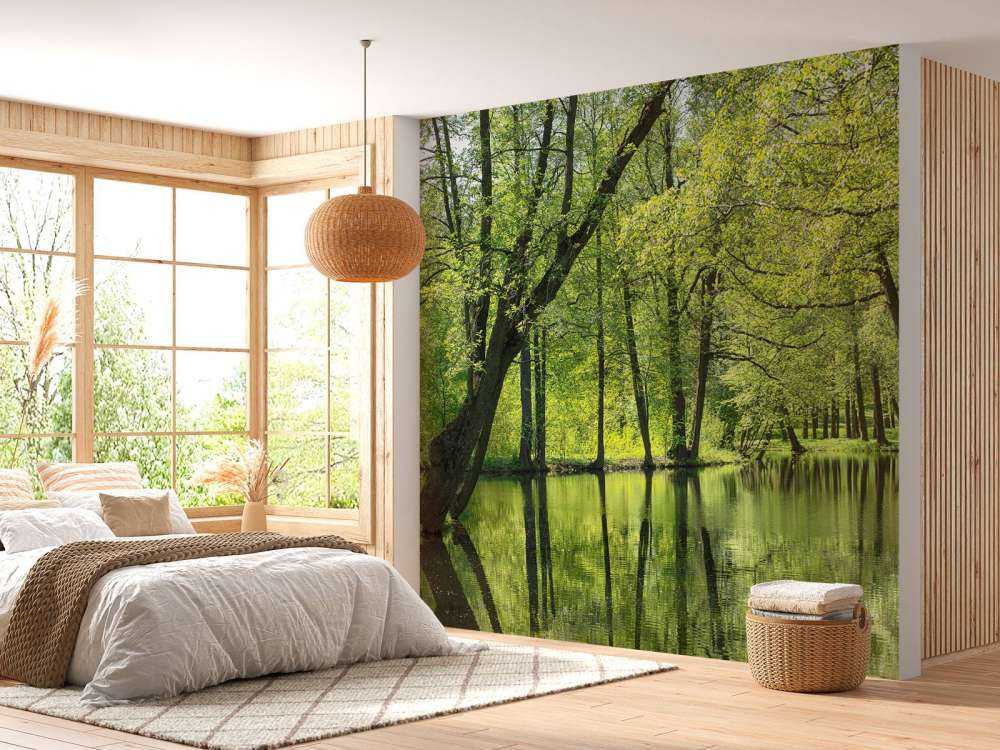 Paysage d'été