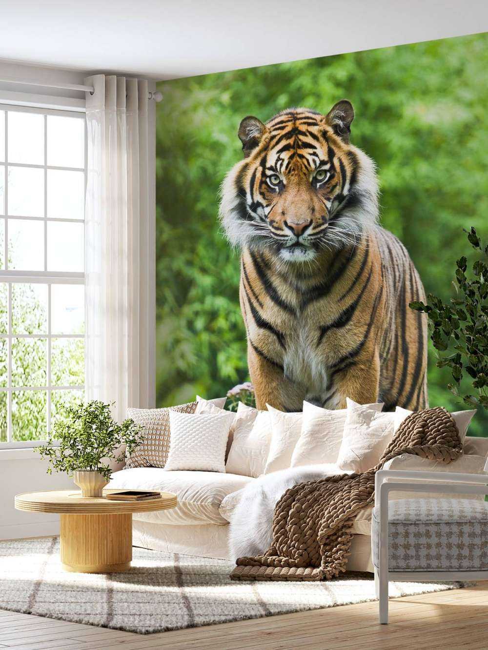 Tigre debout sur une pierre