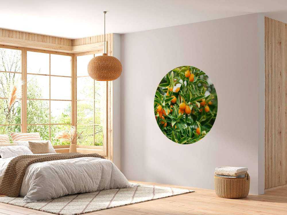 Arbre fruitier