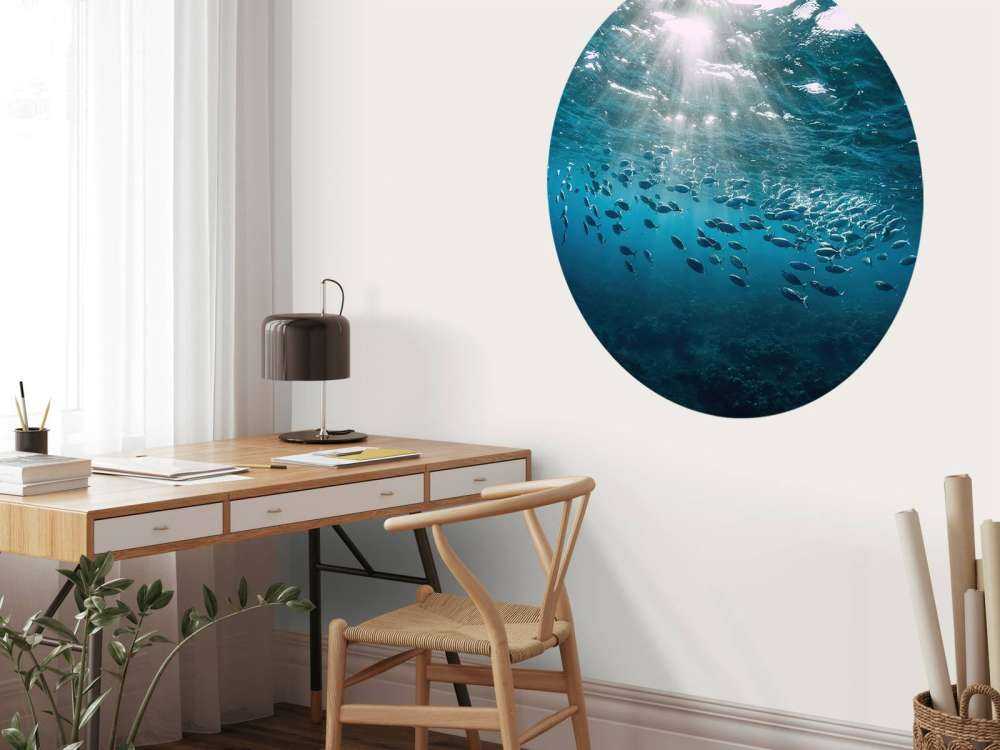 Banc de poissons
