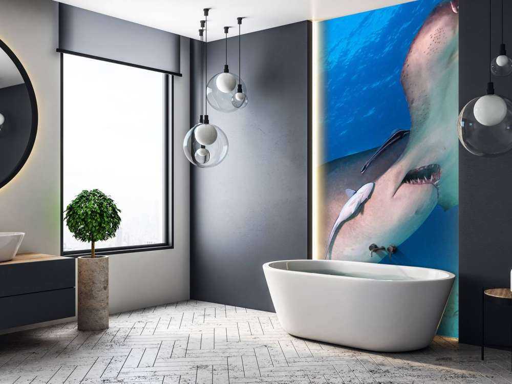 Requin-marteau