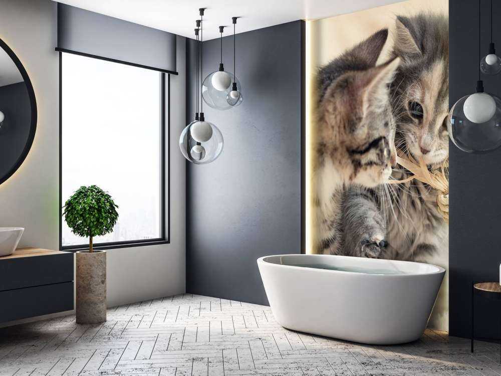 Jouer aux chatons