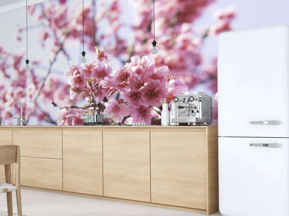 Gros plan sur la fleur rose