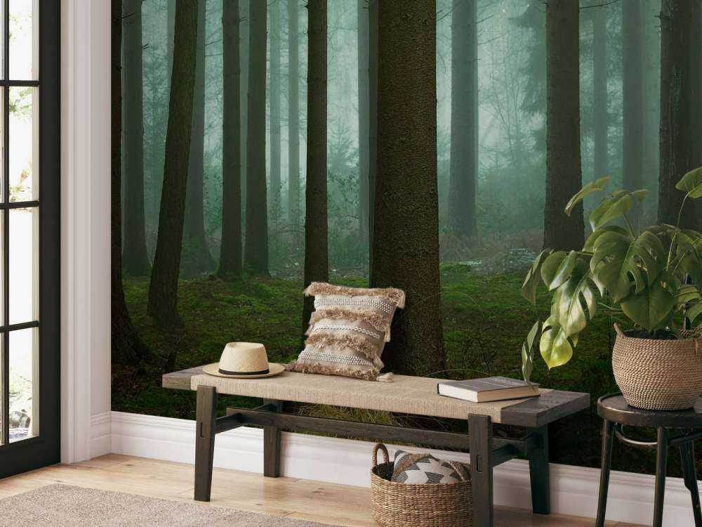 The Cold, Dark Days of Winter