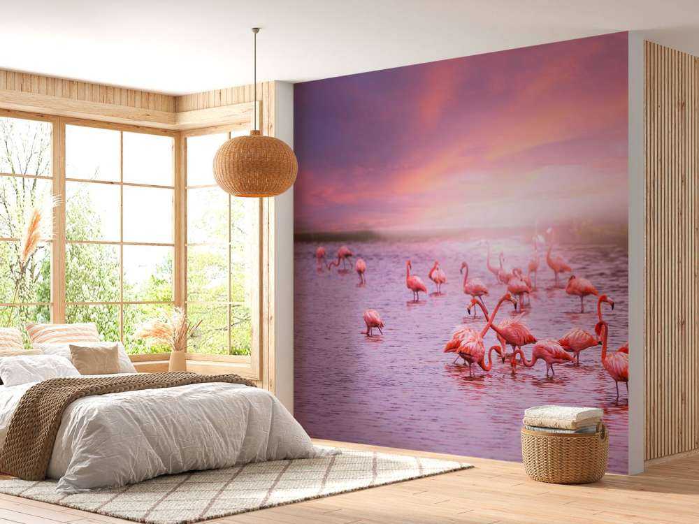 Flamants et le coucher de soleil