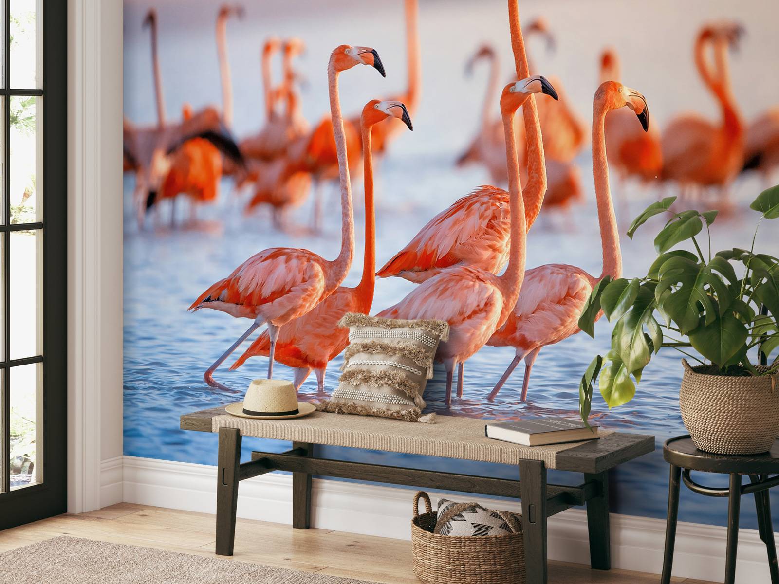 Flamants roses avec un regard fixe
