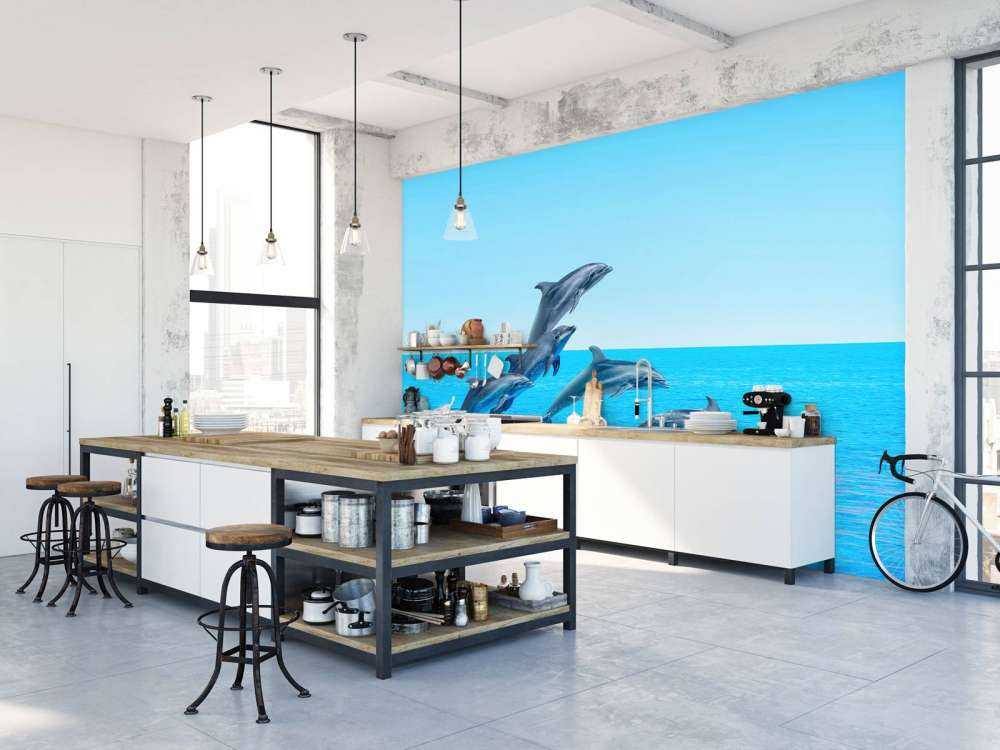 Dauphins sauteurs