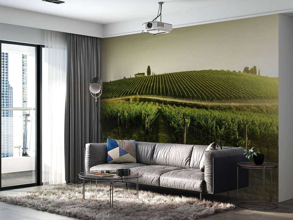 vignoble toscan