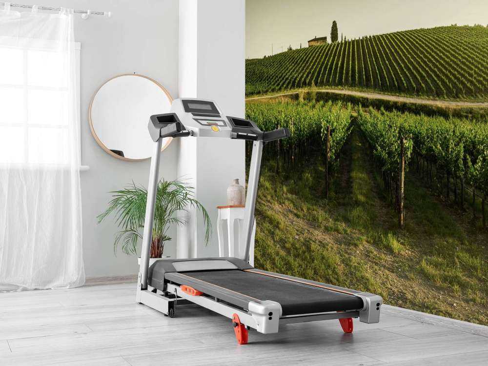 vignoble toscan