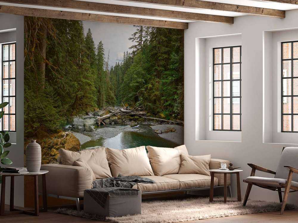 Rivière avec barrage