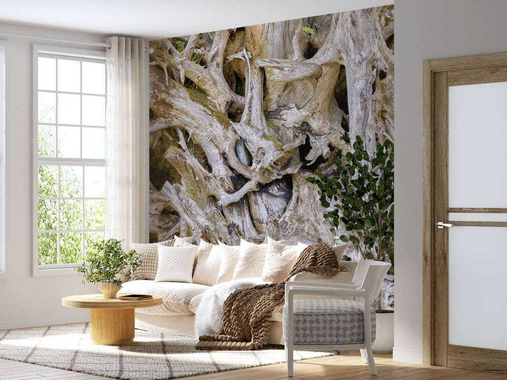 Racines d'arbres