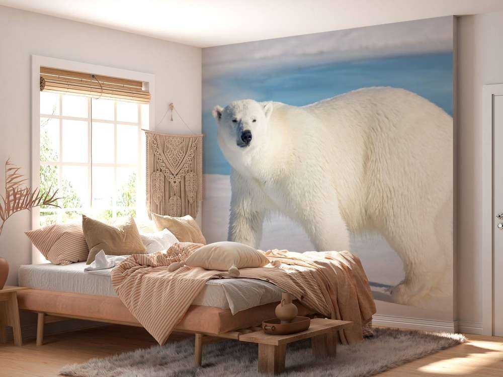 Ours polaire