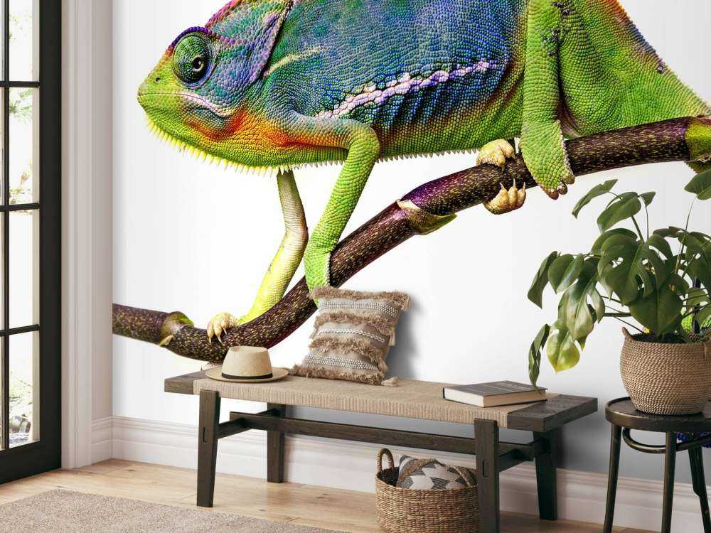 Caméléon