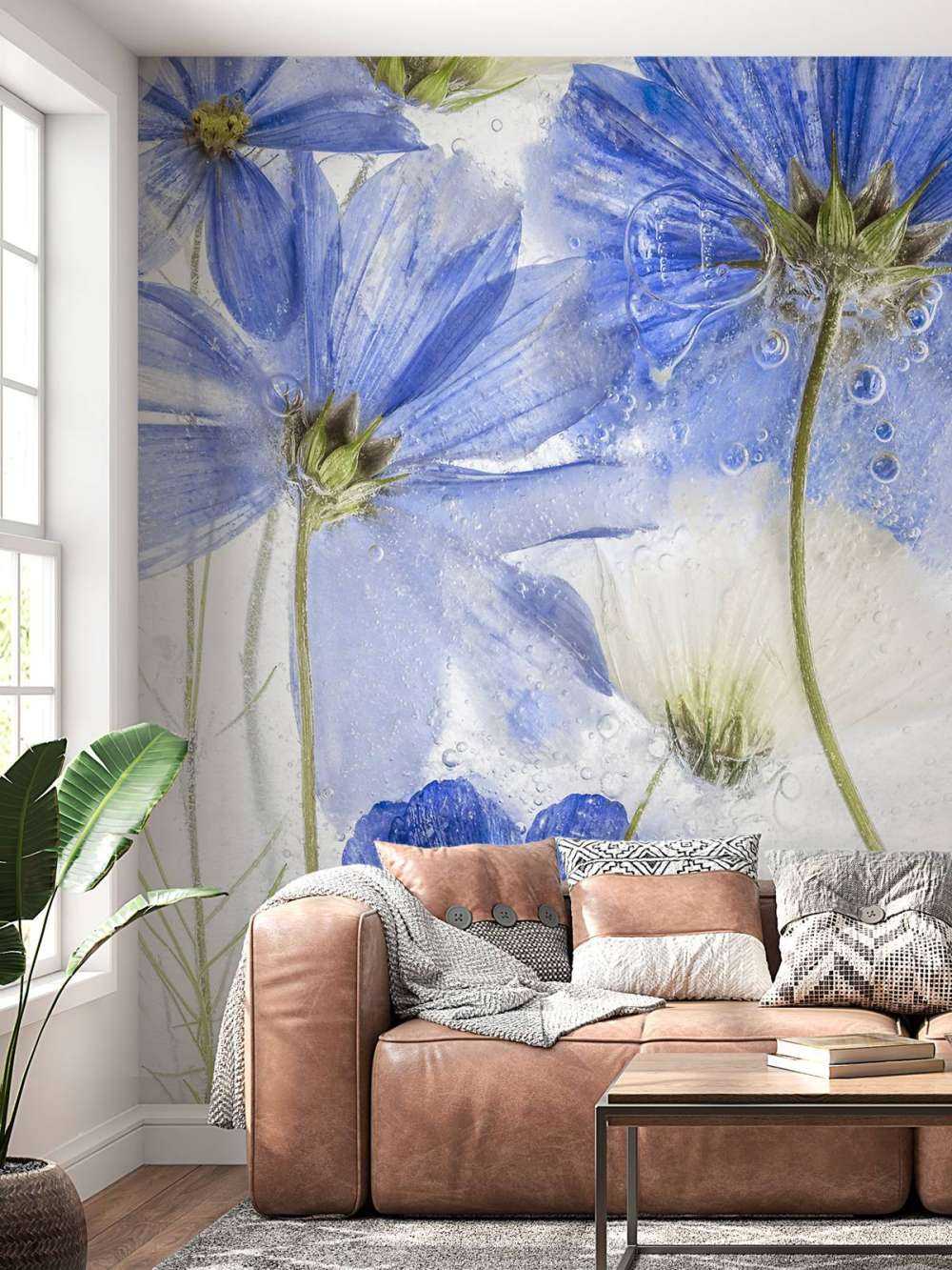 Cosmos blue