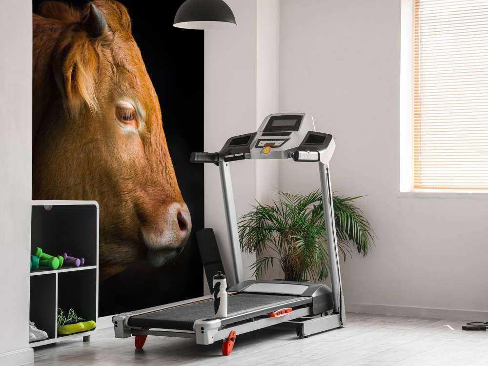 Bullshead