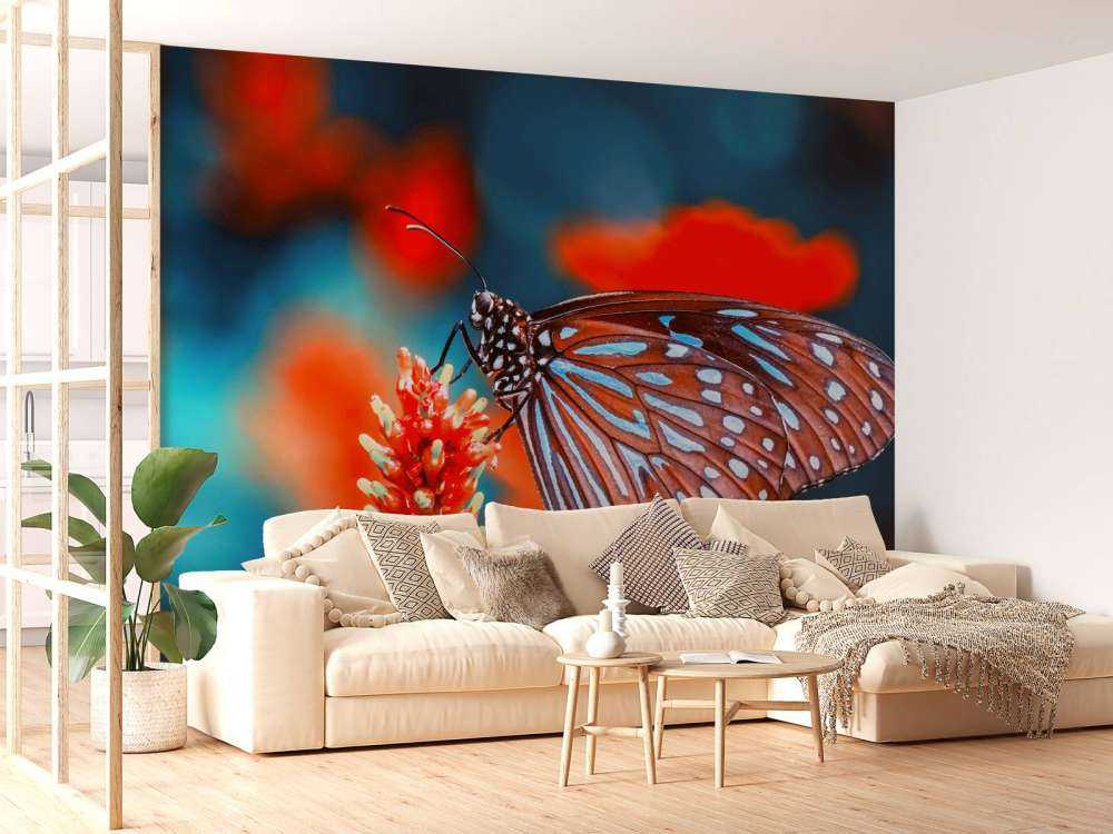 Papillon rouge