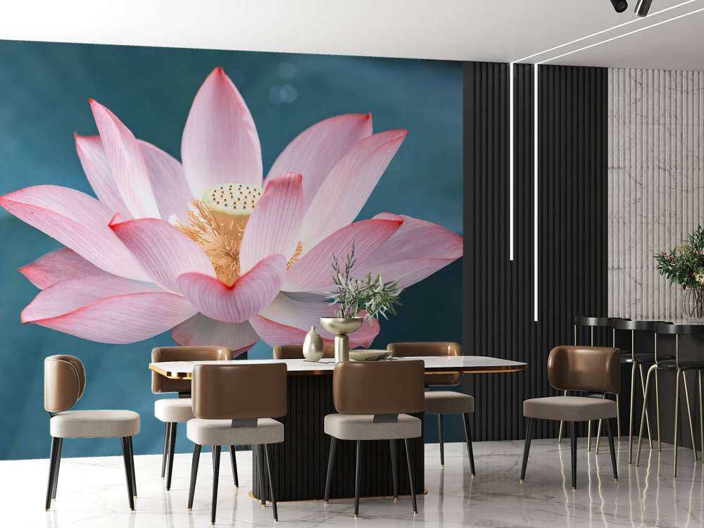 Gros plan sur la fleur de lotus