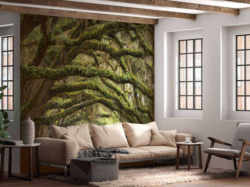 Forêt enchantée