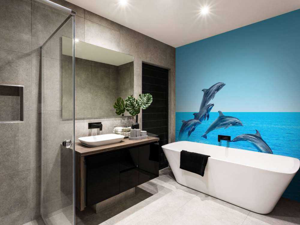 Dauphins sauteurs