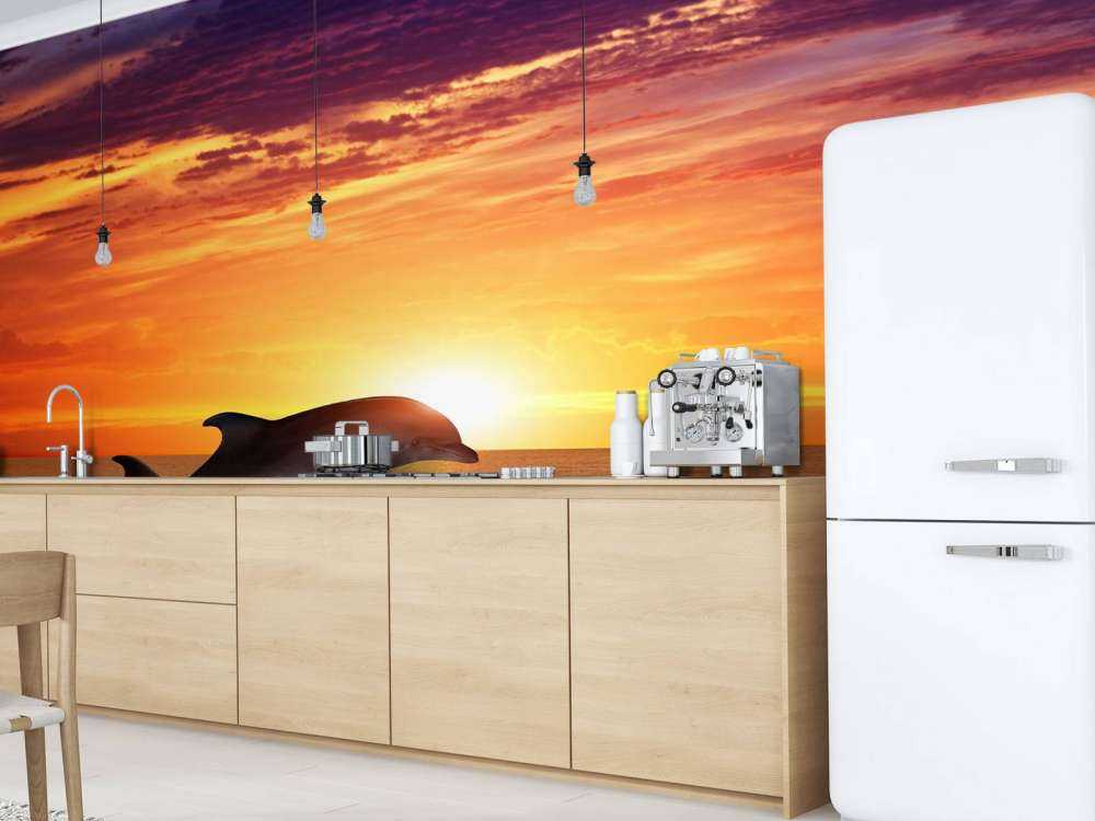 Dauphins sous le coucher du soleil