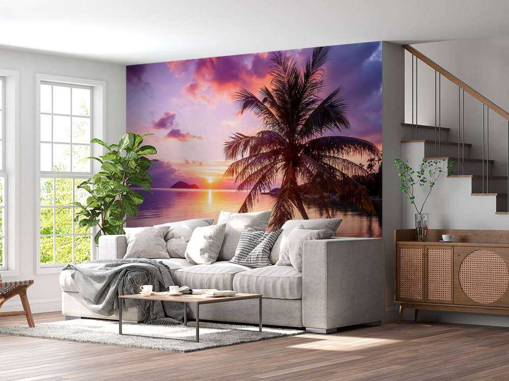 Palmier au coucher du soleil