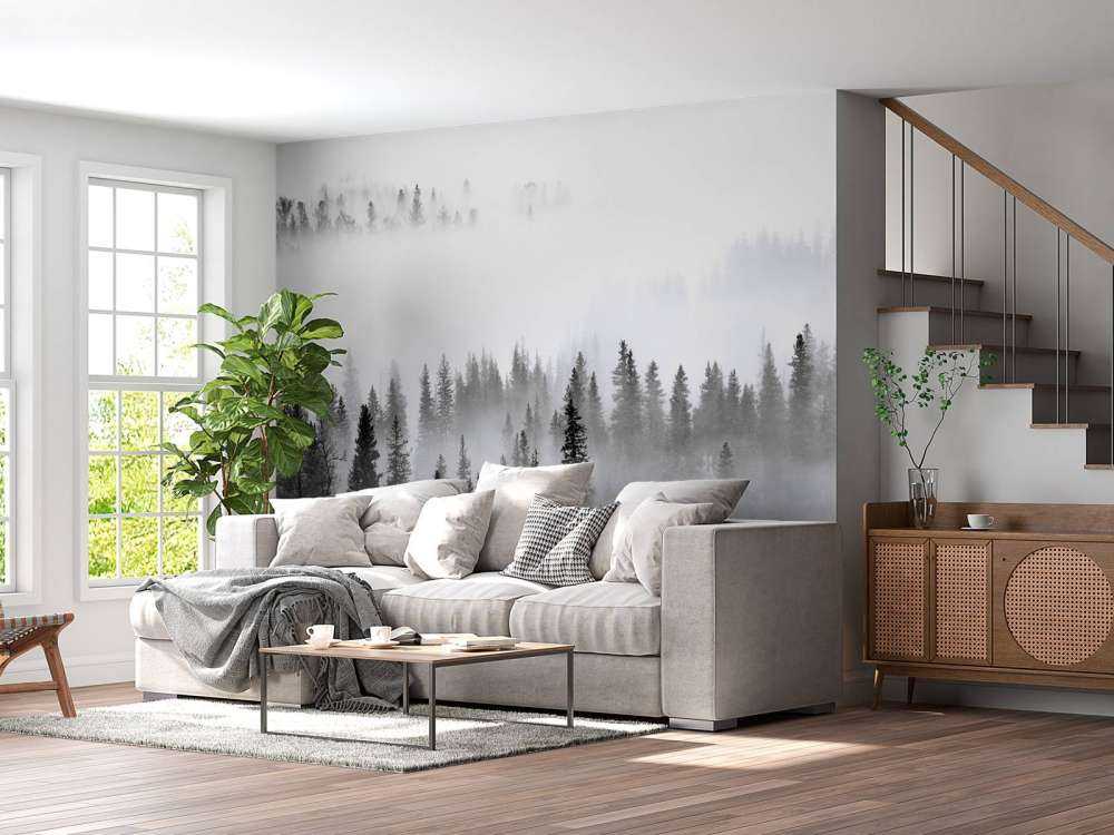 Foggy Forest -1x