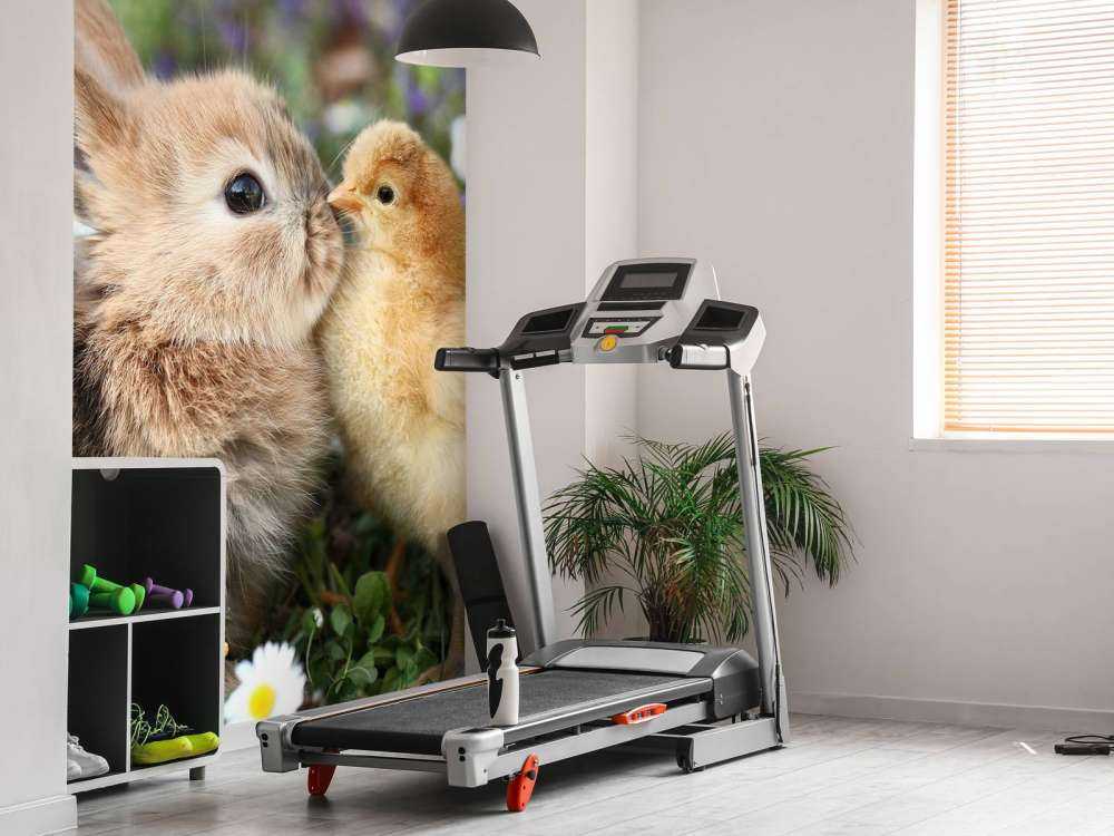 Lapin et poussin