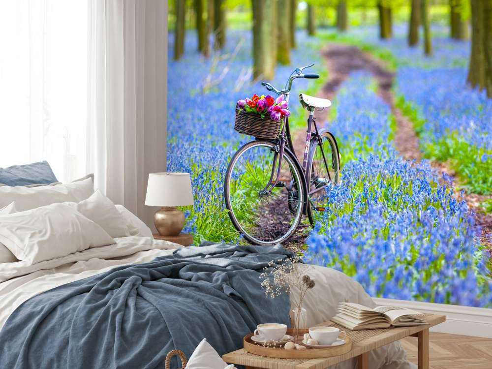 Belle bicyclette dans la forêt