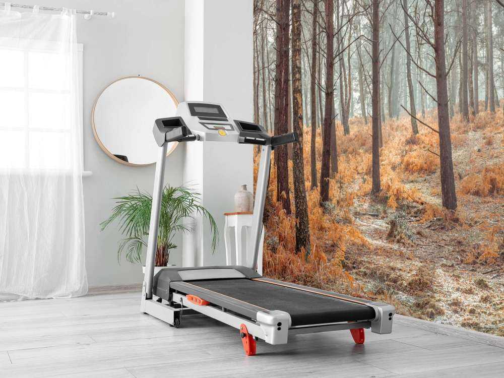 Forêt en automne