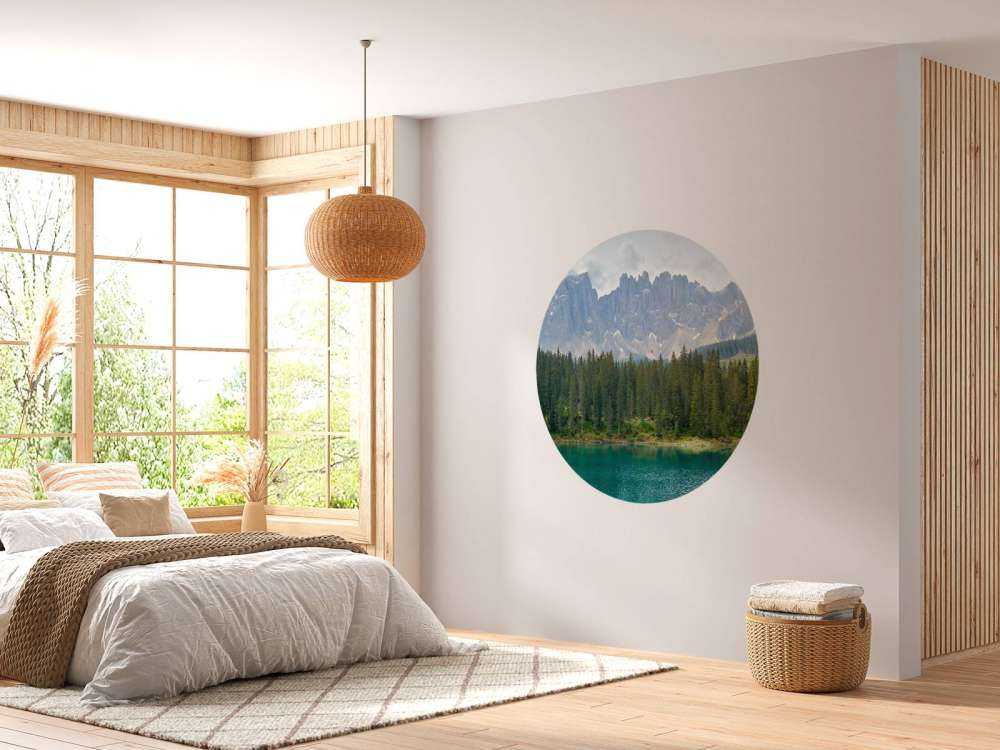 Rangée d'arbres près d'un lac de montagne