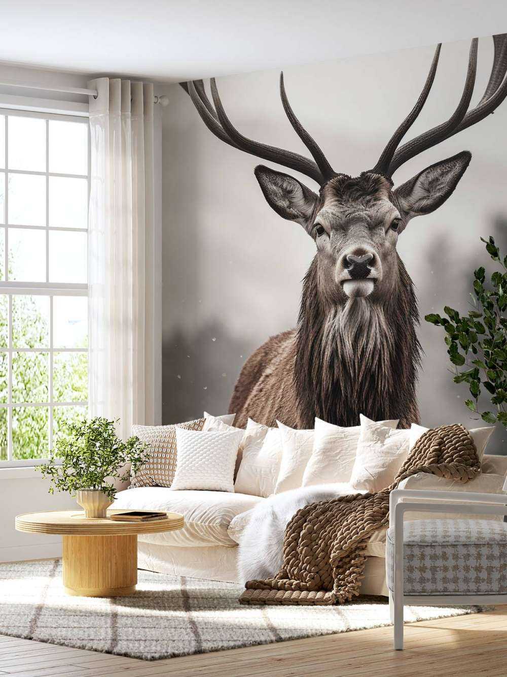 Le roi de l'hiver Le regard du cerf