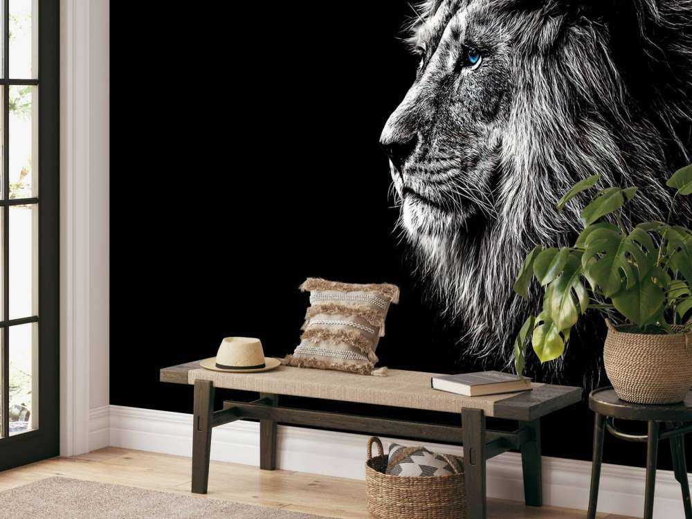 Lion aux yeux bleus