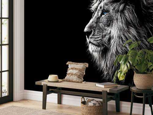 Lion aux yeux bleus