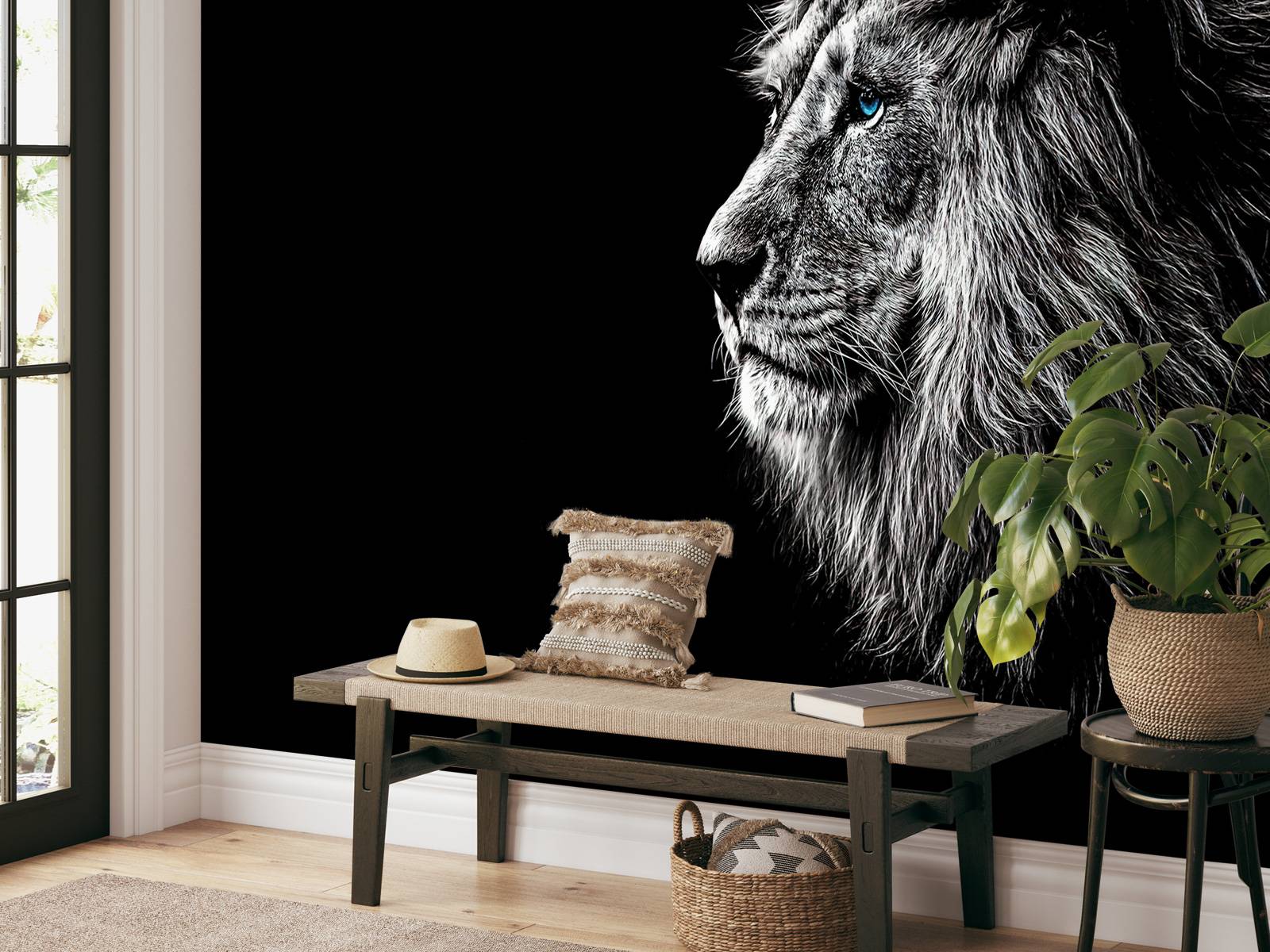 Lion aux yeux bleus