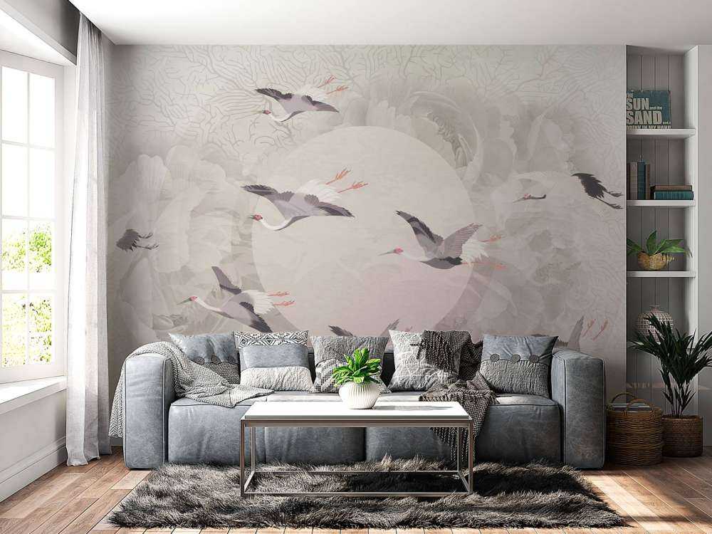 Serenity 6
