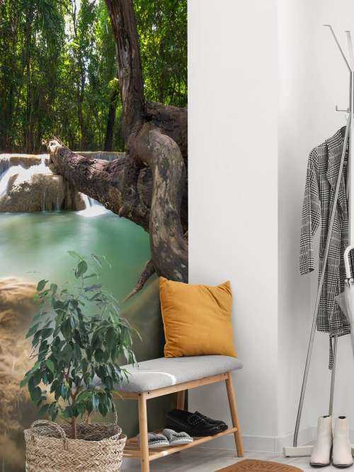 Chute d'eau dans  jungle