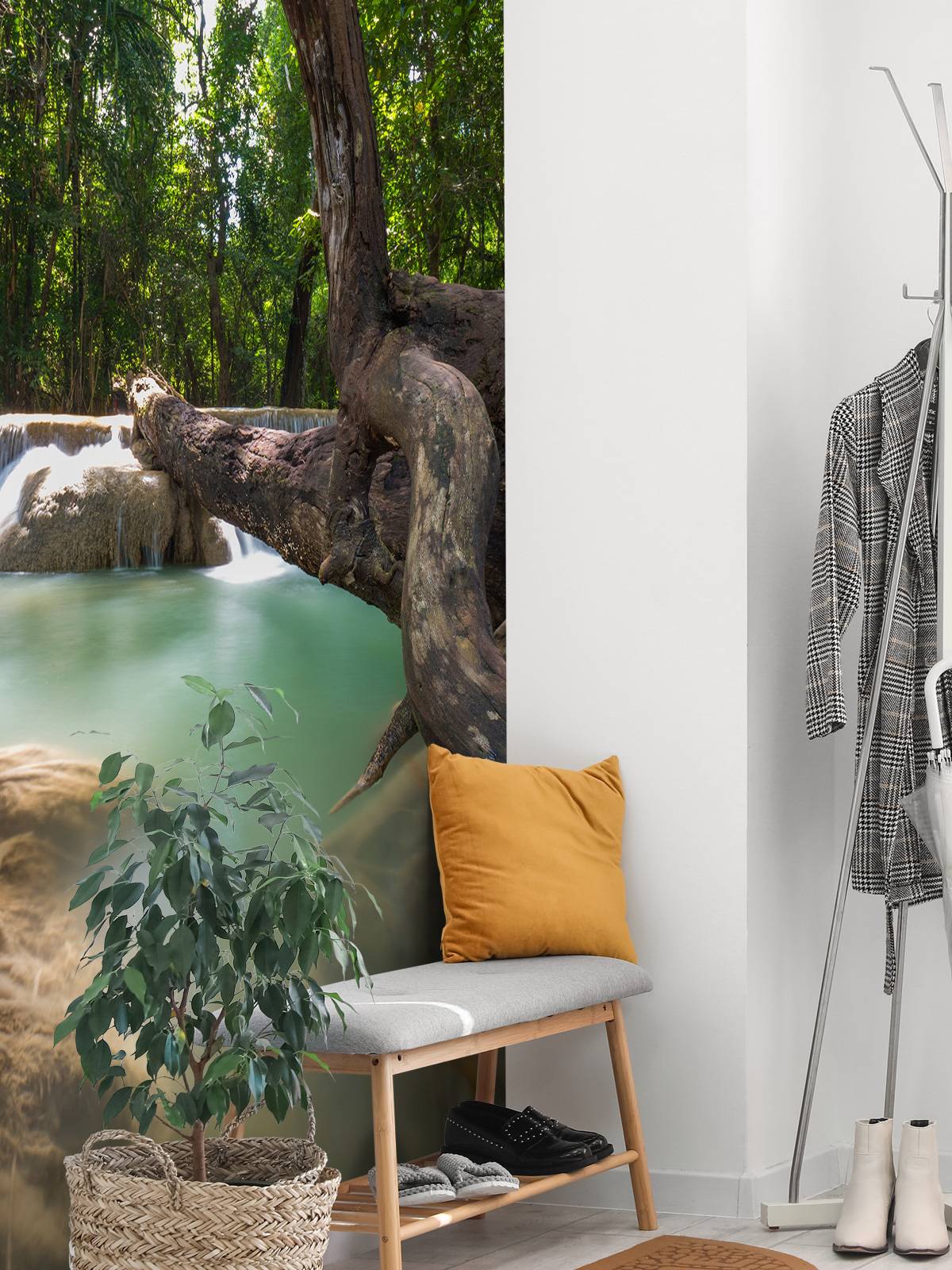 Chute d'eau dans  jungle