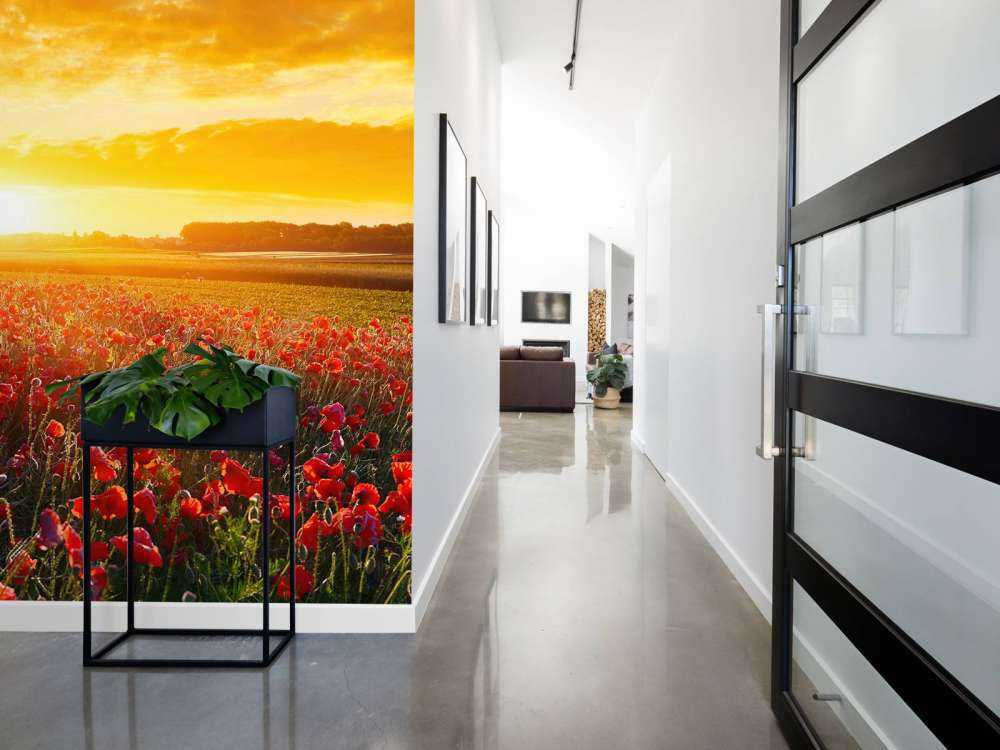 Coquelicots et coucher de soleil