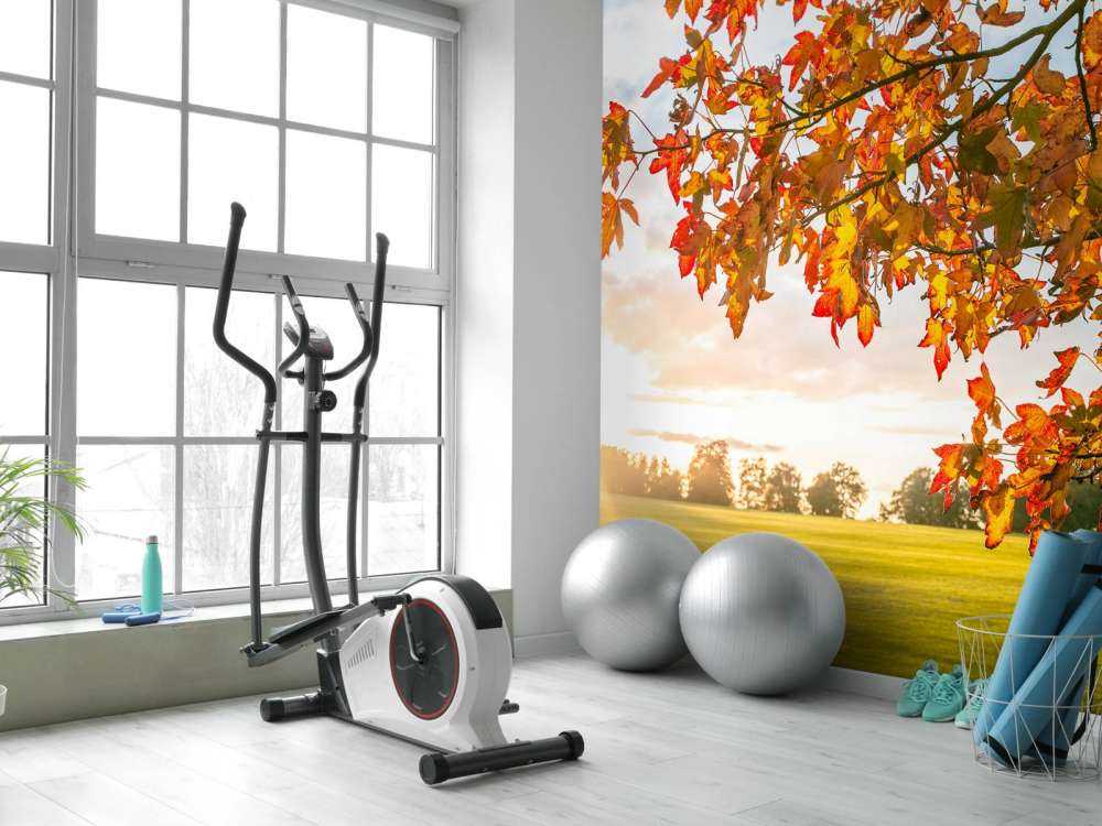 Arbre d'automne au coucher du soleil