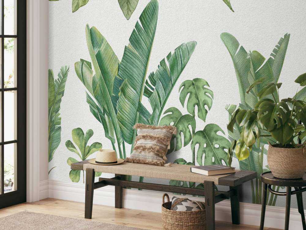 Plantes de la jungle tropicale