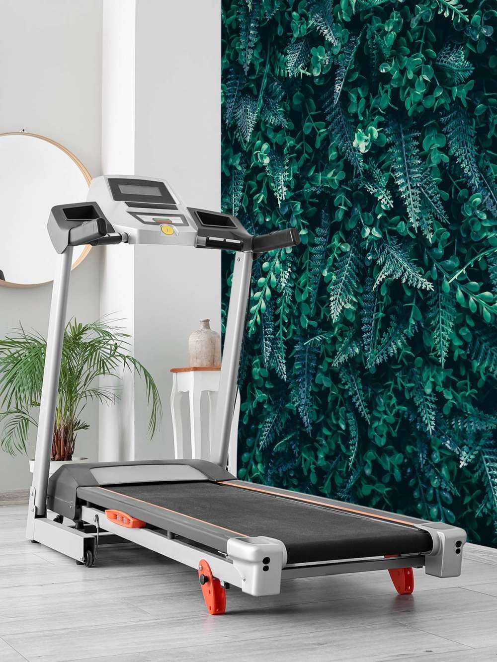 Mur tropical