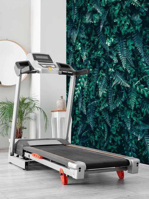Mur tropical
