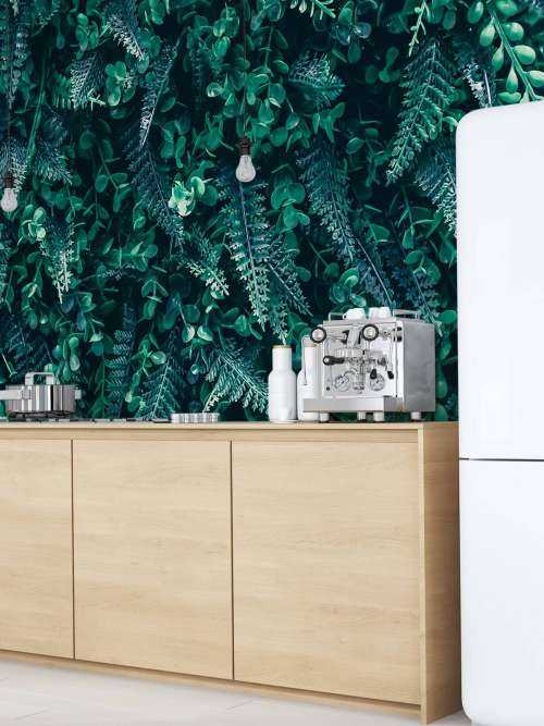 Mur tropical