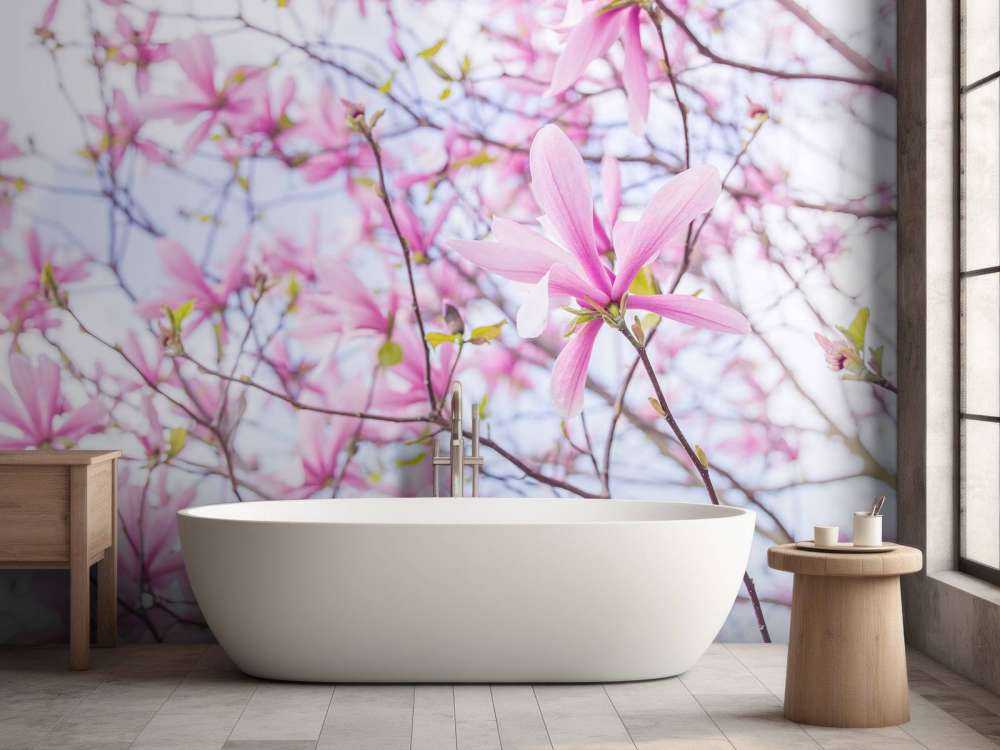 Magnolia