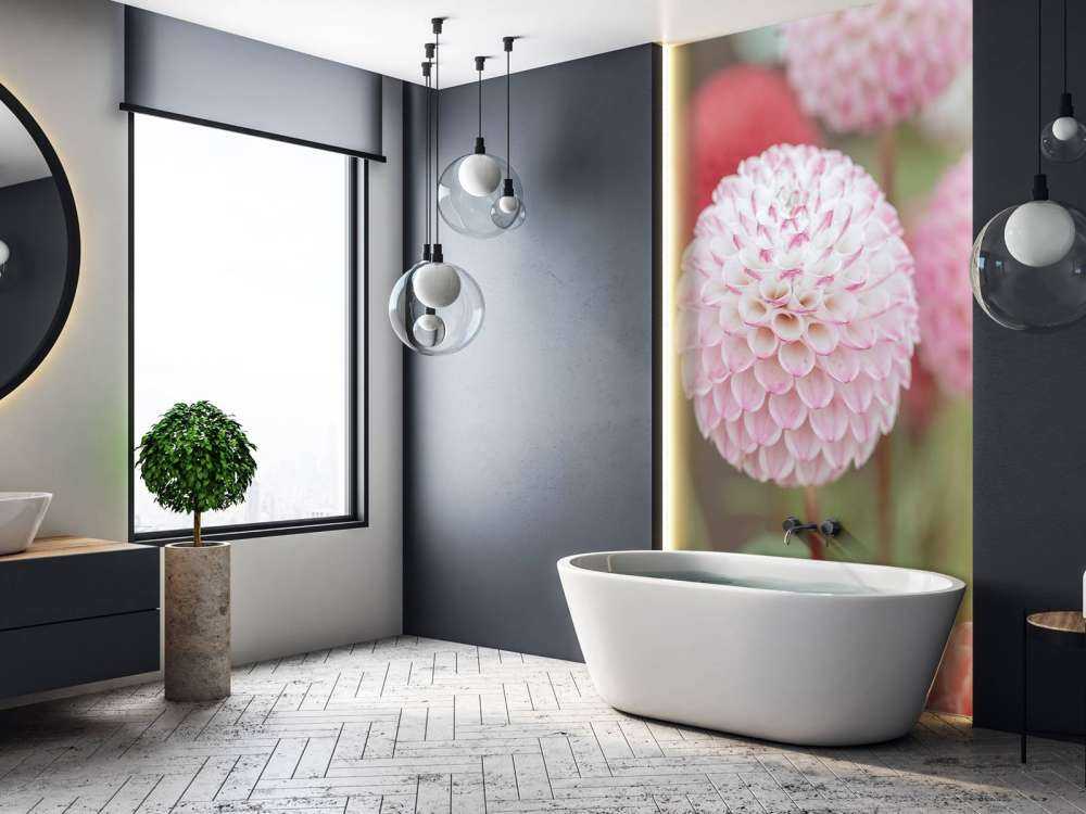 Rose fleurs de dahlia